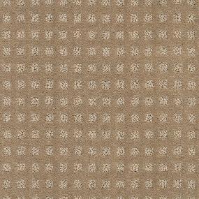 Pattern Briar Patch Beige/Tan Carpet