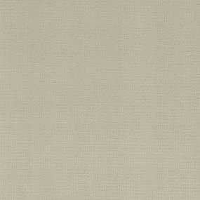 Pattern Shore Line Beige/Tan Carpet