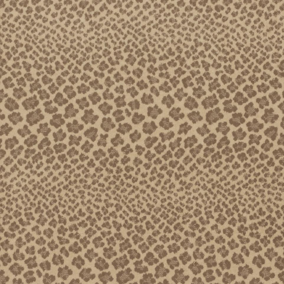 Pattern Shilling Beige/Tan Carpet