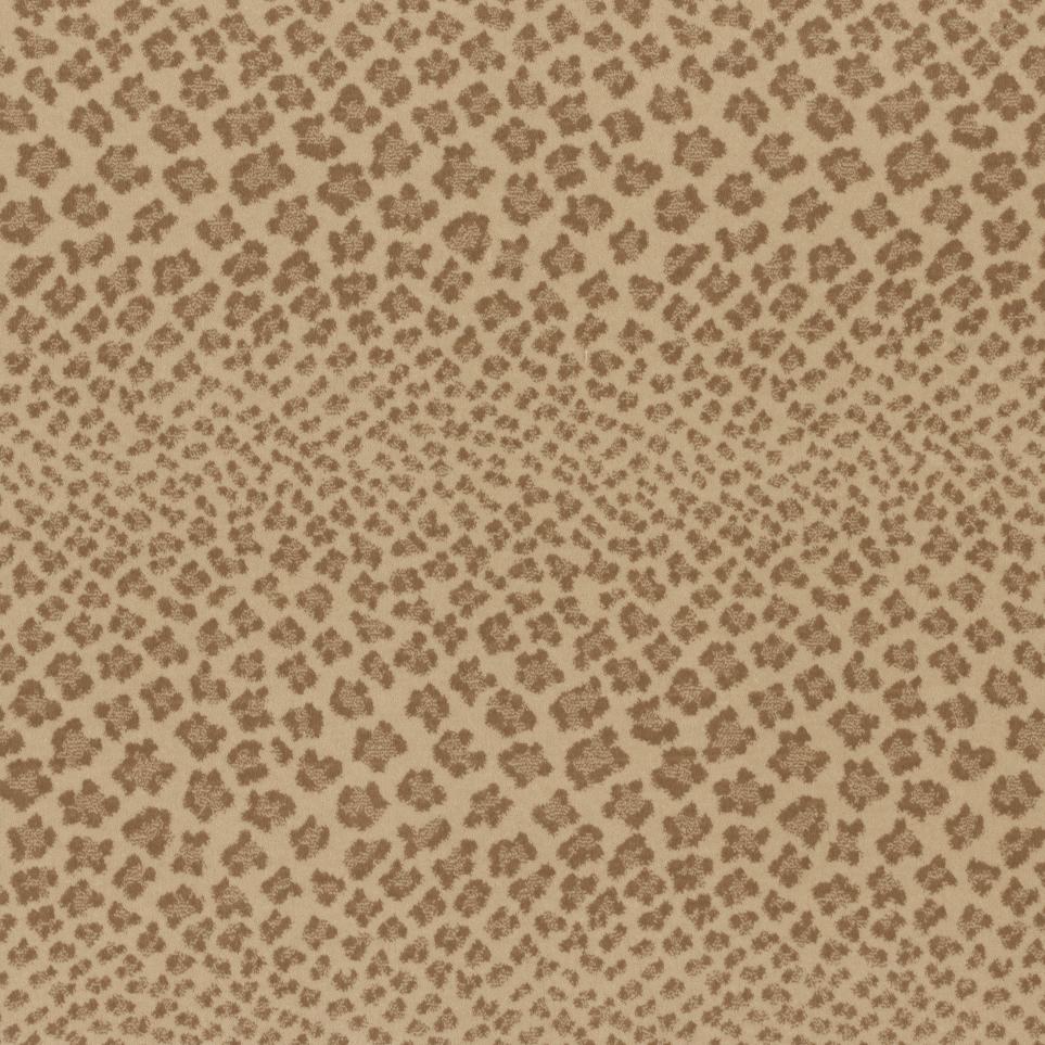 Pattern Beach Beige/Tan Carpet