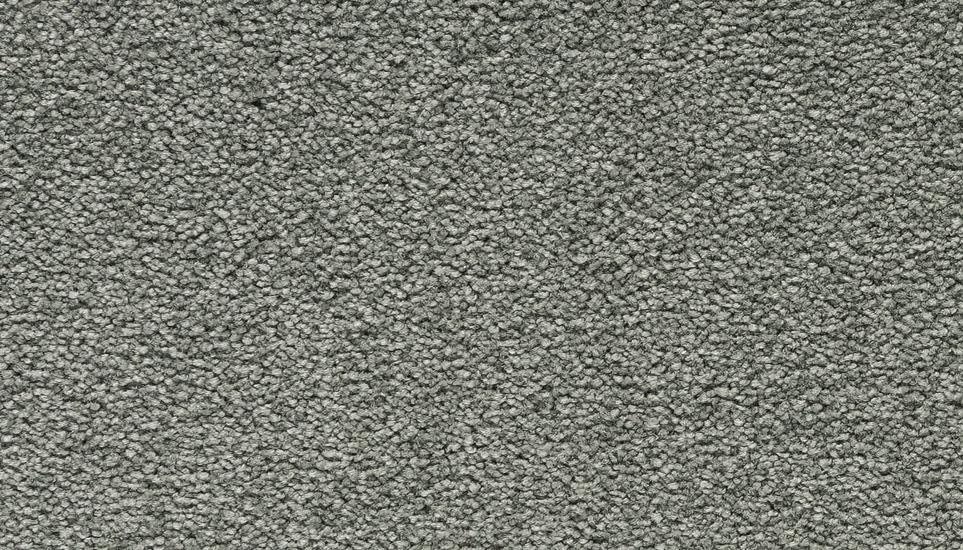 Textured Saxony Arch Gray Carpet