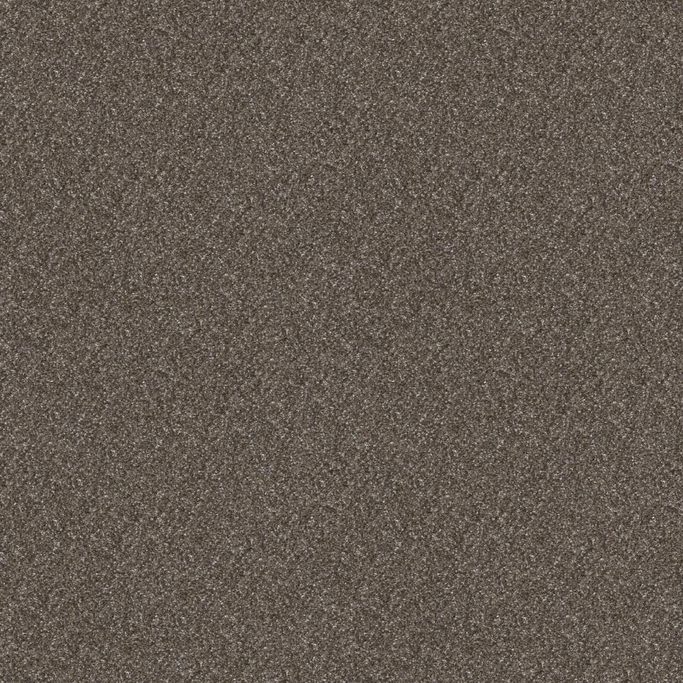 Texture Saw Dust Brown Carpet
