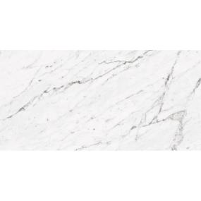 Tile Carrara White White Tile