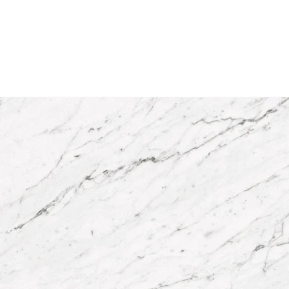 Tile Carrara White White Tile