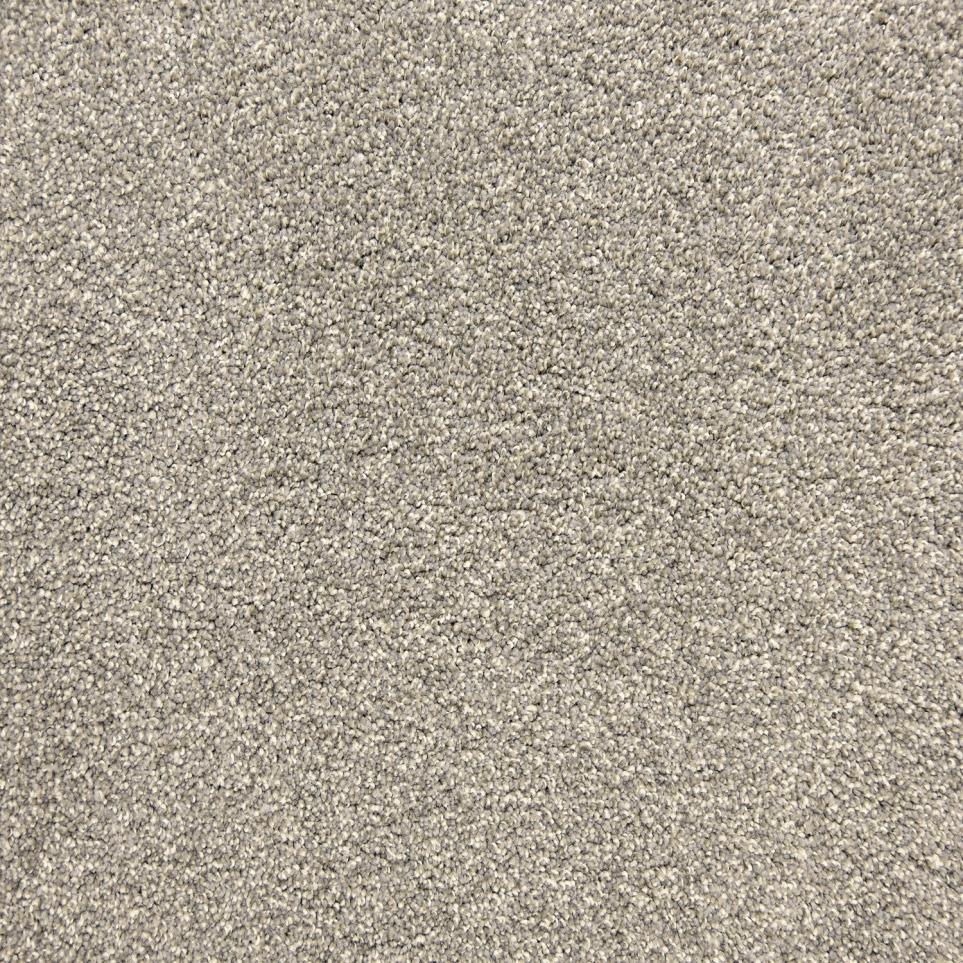 Texture Dove Beige/Tan Carpet
