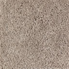 Textured Saxony Blissful Beige/Tan Carpet
