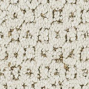 Pattern Sienna Brown Carpet
