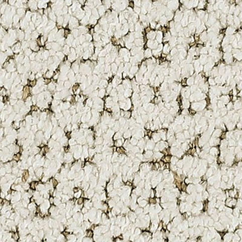 Pattern Sienna Brown Carpet