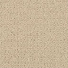 Pattern Grey Pearl Beige/Tan Carpet