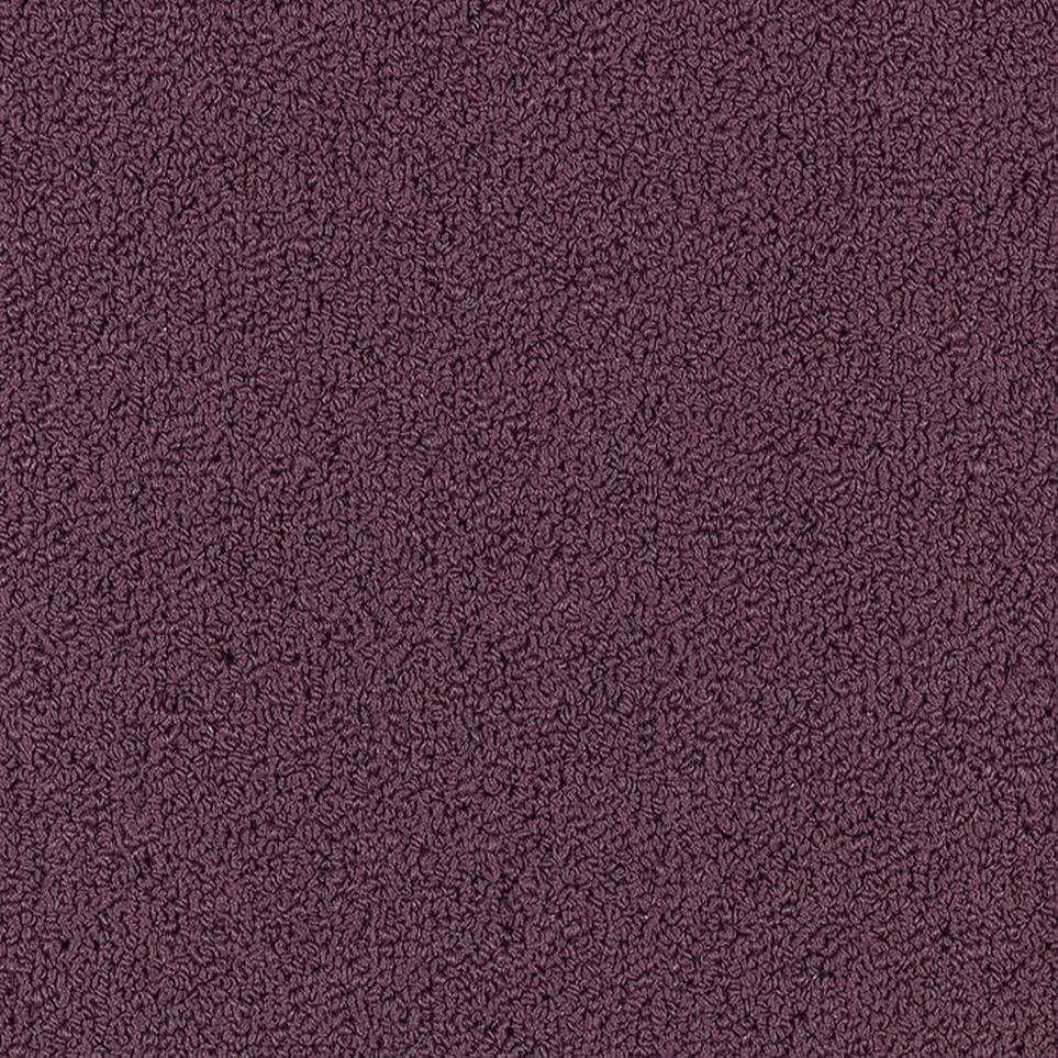 Loop Rare Wine Purple Carpet