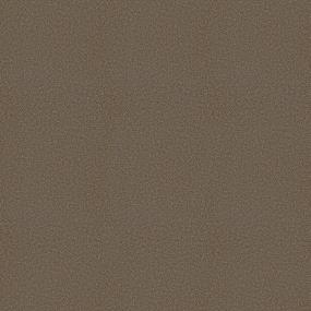 Plush Saxony Espresso Brown Carpet
