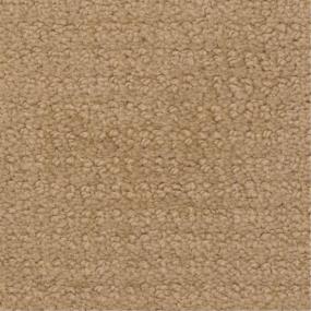 Pattern Tamarack Beige/Tan Carpet