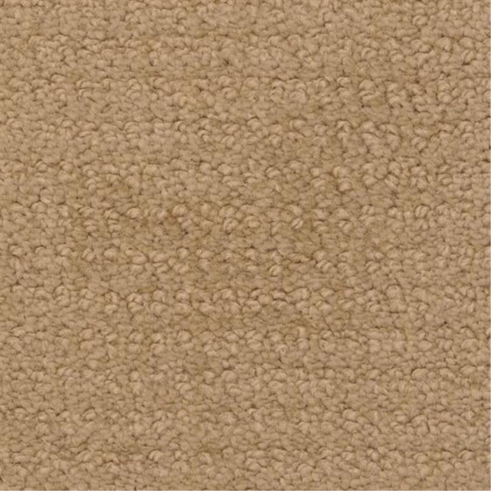 Pattern Tamarack Beige/Tan Carpet