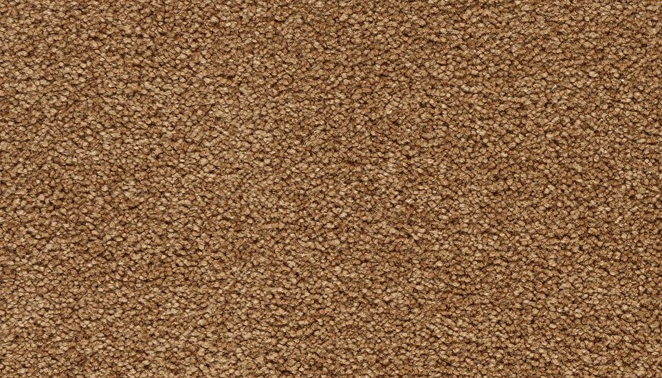 Textured Saxony Trefoils Brown Carpet