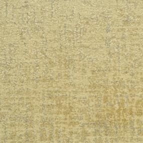 Pattern Fresh Prince Beige/Tan Carpet