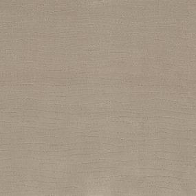 Pattern French Coffee Beige/Tan Carpet