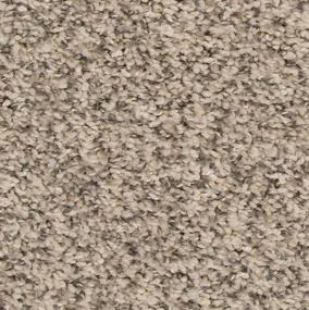 Texture Nickel                         Beige/Tan Carpet