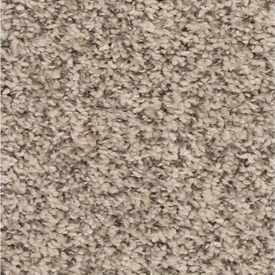 Textured Saxony Nickel                         Beige/Tan Carpet