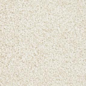 Textured Saxony String Beige/Tan Carpet