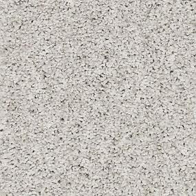 Textured Saxony Winter Wonder Gray Carpet