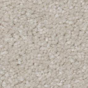 Texture Studio White Carpet