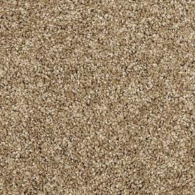 Textured Saxony Tradition Beige/Tan Carpet