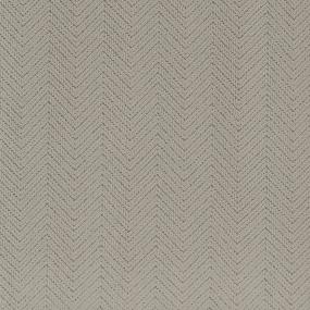 Pattern Pure Path Brown Carpet