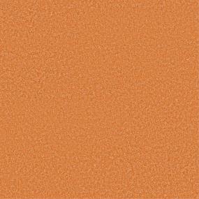 Texture Tiger Tail Orange Carpet