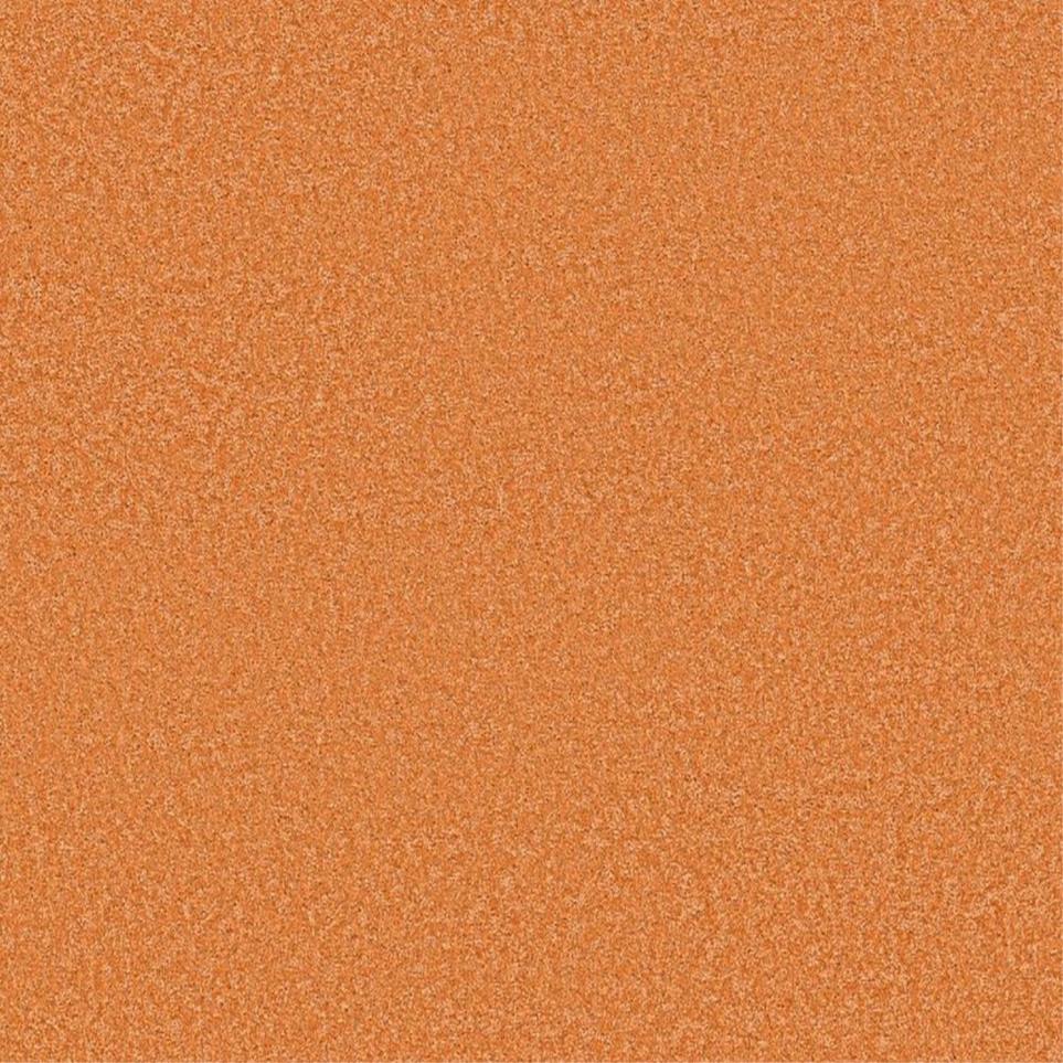 Texture Tiger Tail Orange Carpet