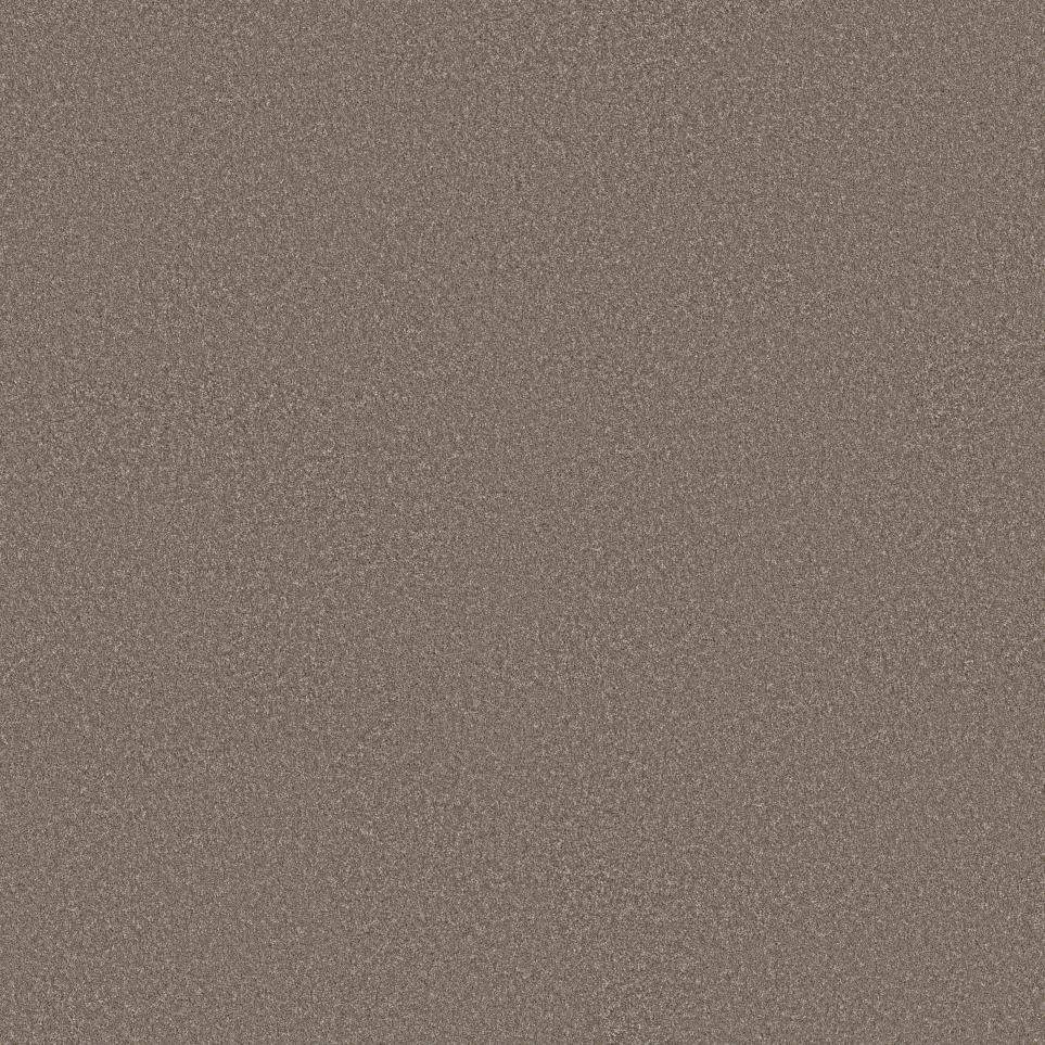 Cut Pile Weathered Beige/Tan Carpet