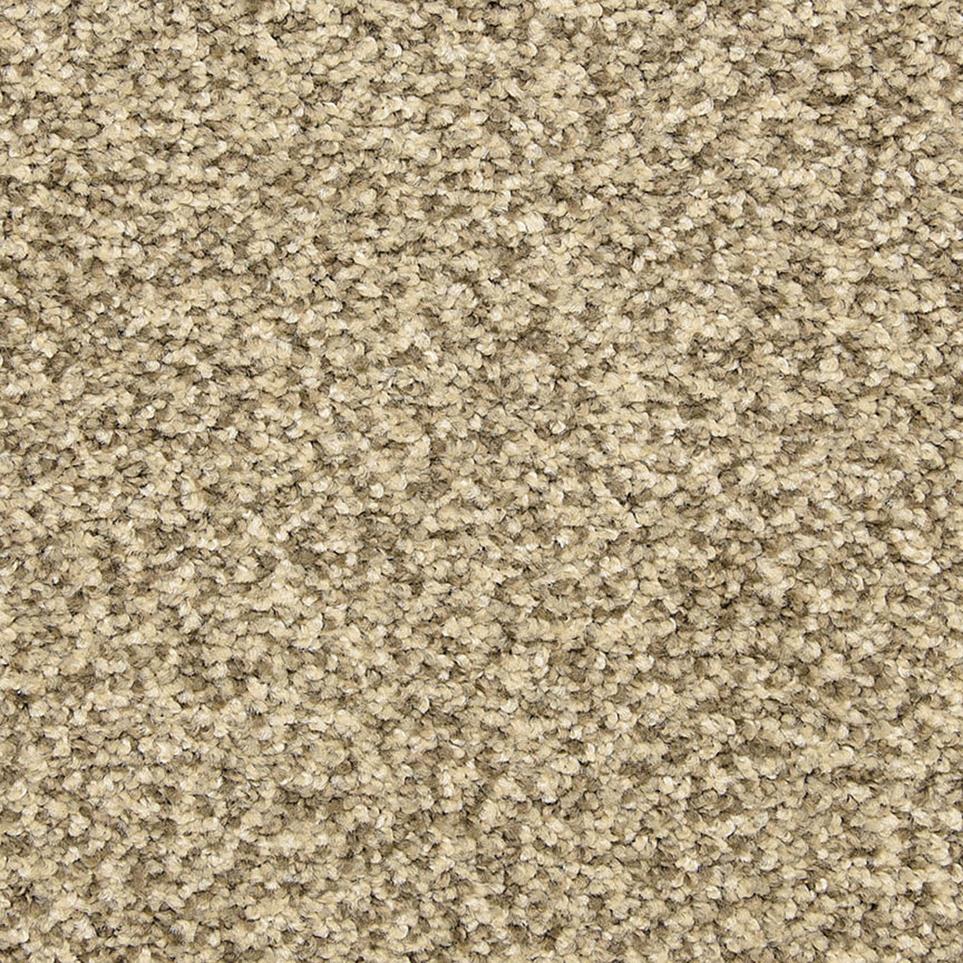 Texture Grey Scale Beige/Tan Carpet