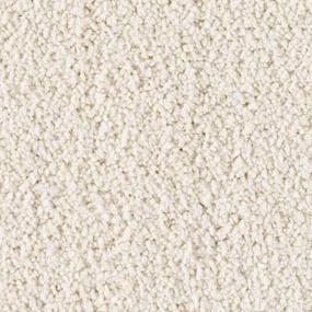 Textured Saxony FLAKY COCONUT Beige/Tan Carpet