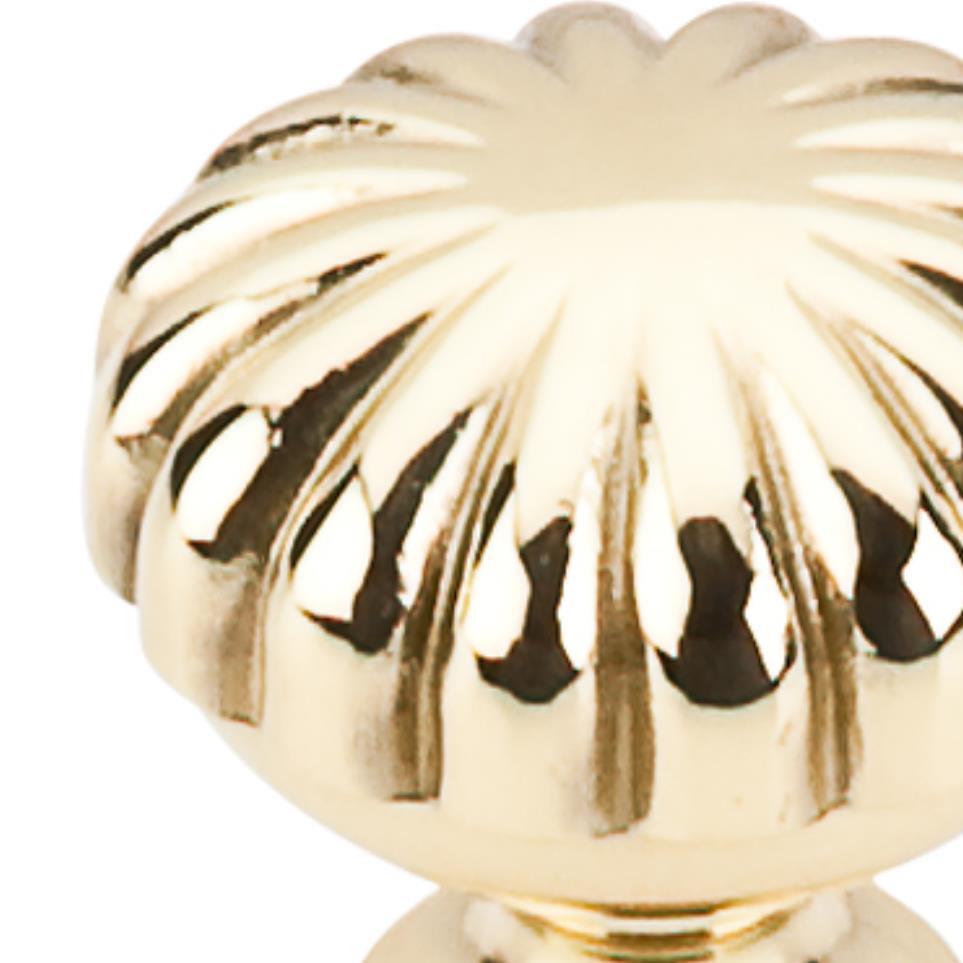 Knob Polished Brass Brass / Gold Knobs