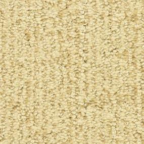 Pattern Bonanza Beige/Tan Carpet