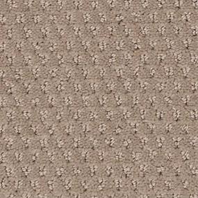 Pattern Sanderling Beige/Tan Carpet