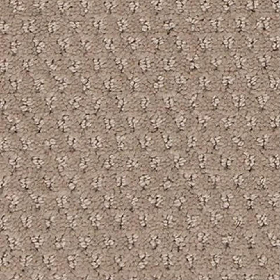 Pattern Sanderling Beige/Tan Carpet