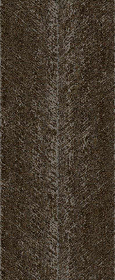 Pattern Odyssey Brown Carpet