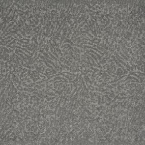 Pattern Flying Over Gray Carpet