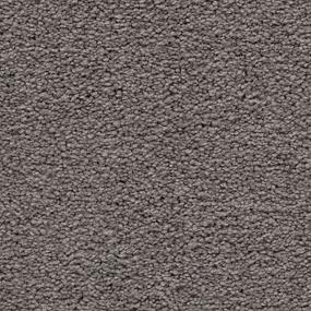 Textured Saxony Elemental Gray Carpet