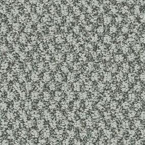 Pattern Knight Gray Carpet
