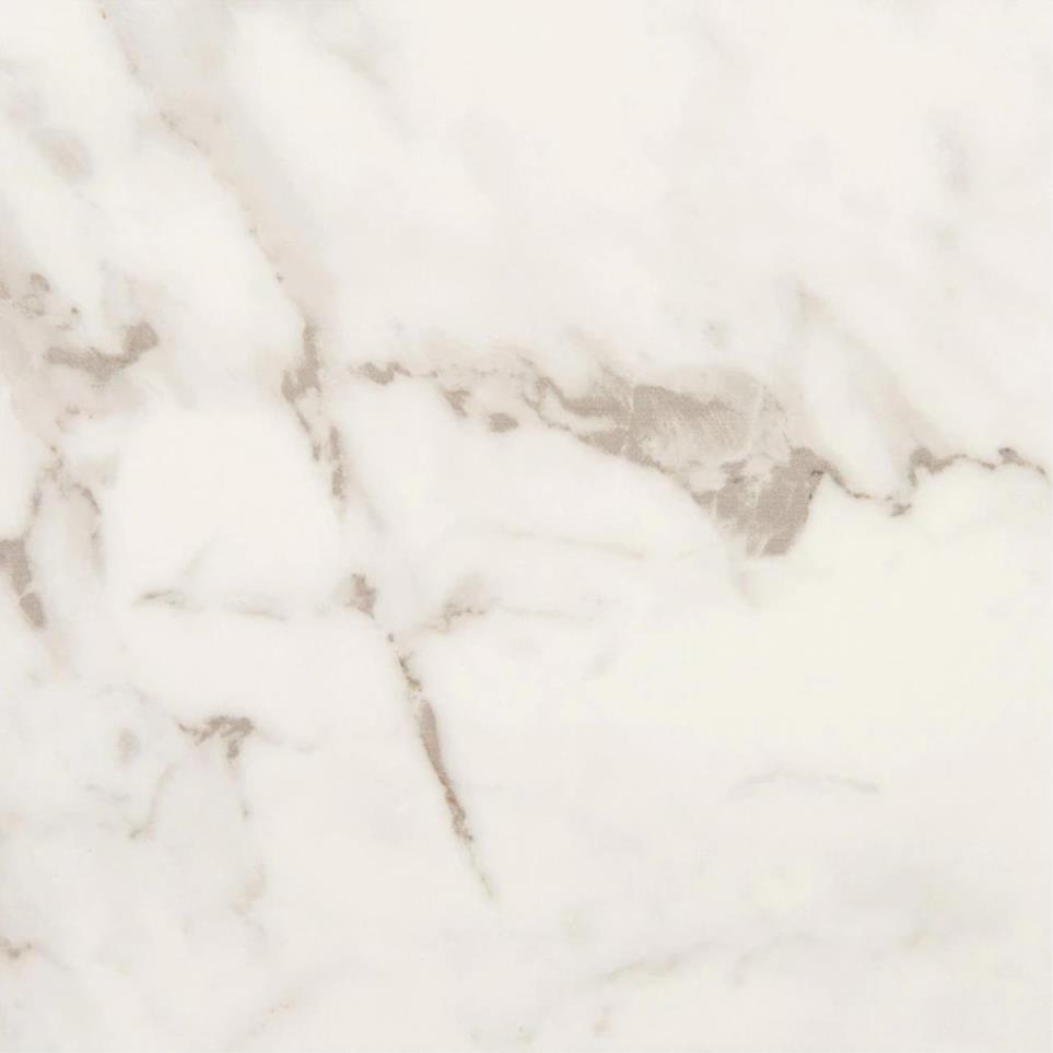 Tile Calacatta Gold Matte White Tile