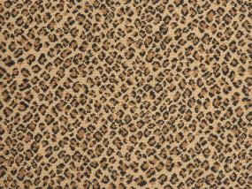 Pattern Bronze Beige/Tan Carpet