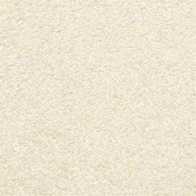Casual Texture Shell White Carpet