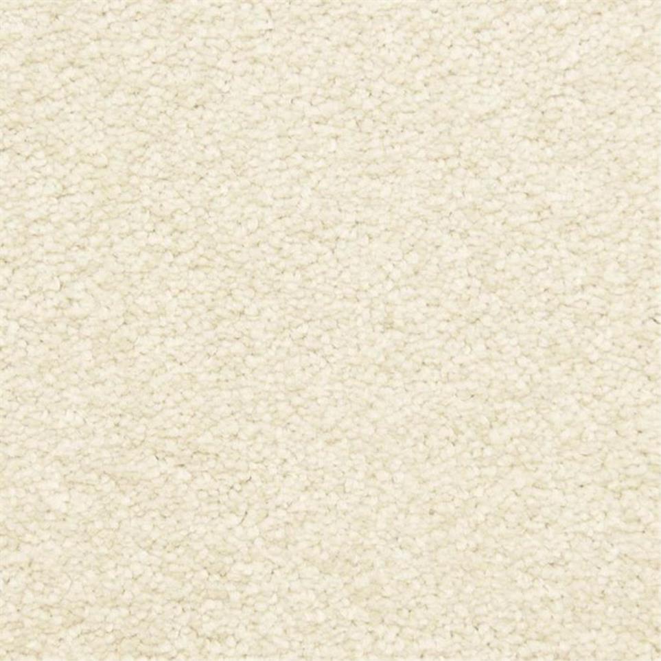 Casual Texture Shell White Carpet