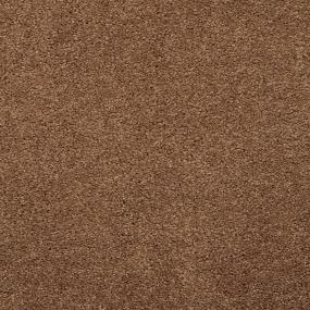 Casual Texture Clay Creek Brown Carpet