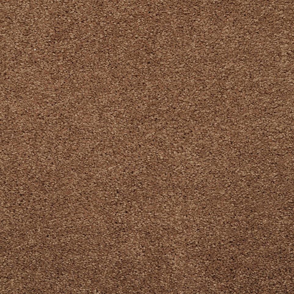 Casual Texture Clay Creek Brown Carpet