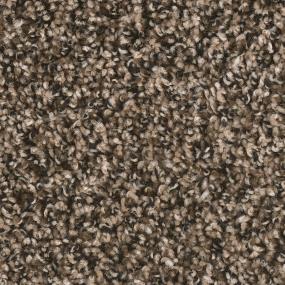Textured Saxony Tranquility Brown Carpet