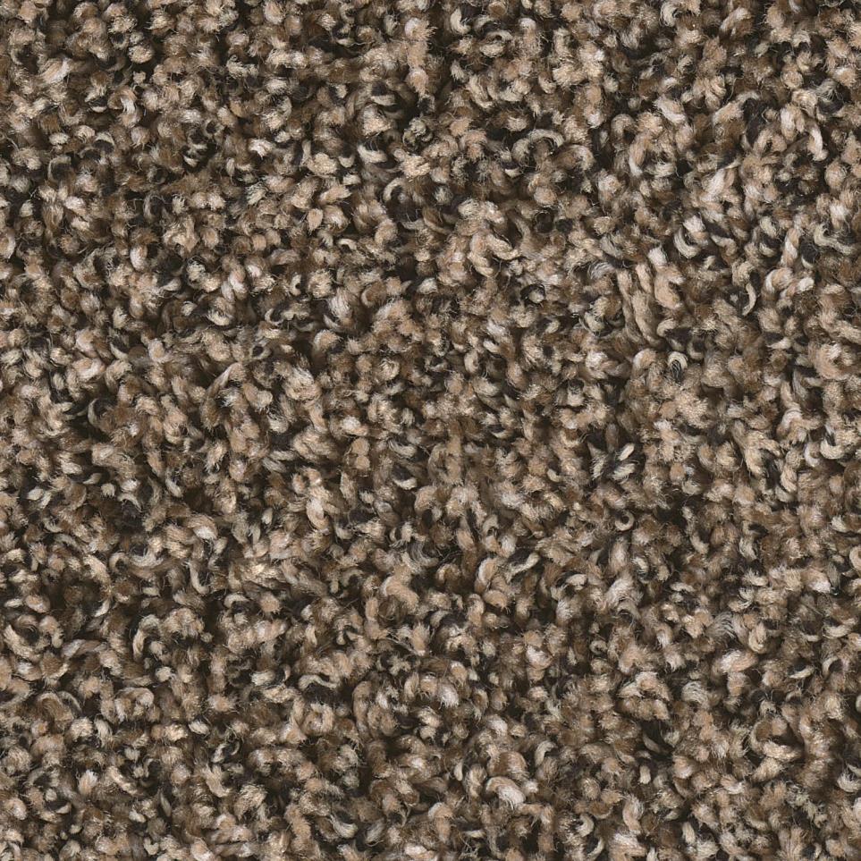 Texture Tranquility Brown Carpet