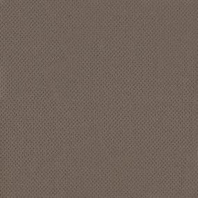 Loop Luxury Beige/Tan Carpet