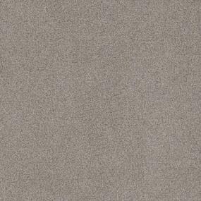 Cut Pile Everlasting Brown Carpet